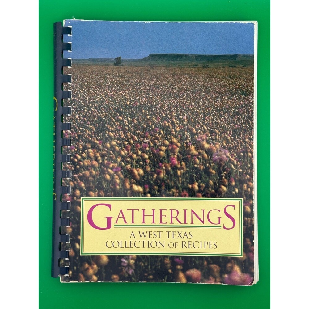 Gatherings West Texas Collection of Recipes 1992 Caprock Girl Scouts Cookbook